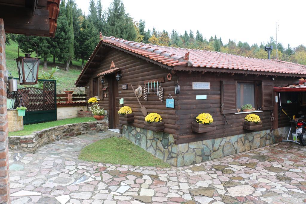 Traditional Guesthouse Tríkala Eksteriør billede